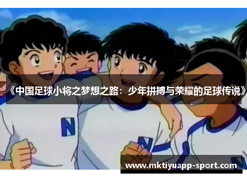 《中国足球小将之梦想之路：少年拼搏与荣耀的足球传说》