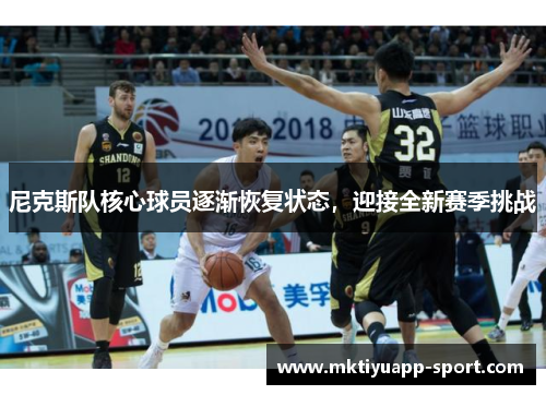 尼克斯队核心球员逐渐恢复状态，迎接全新赛季挑战